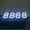 Pure Green LED hiển thị đồng hồ 4 chữ số 7 phân đoạn cho công nghiệp hẹn giờ