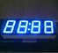 Đồng hồ LED Anode phổ biến Hiển thị siêu xanh 0,56 &quot;Dành cho bộ đếm thời gian của lò chịu được 120oC