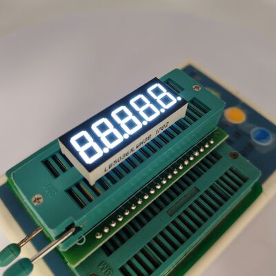 Giá tốt. Ultra White 5 Digit LED Display for Digital Indicators trực tuyến