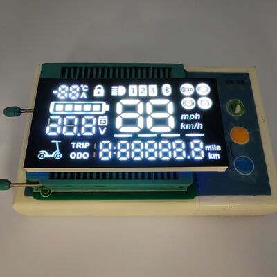 Giá tốt. Ultra Bright White Common Cathode 7 Segment LED Display với IP65 chống nước cho xe tay ga điện trực tuyến
